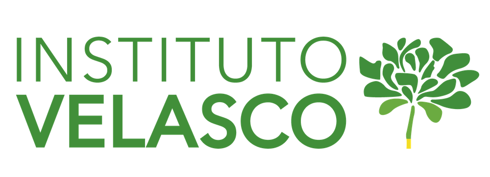 Logotipo Instituto Velasco