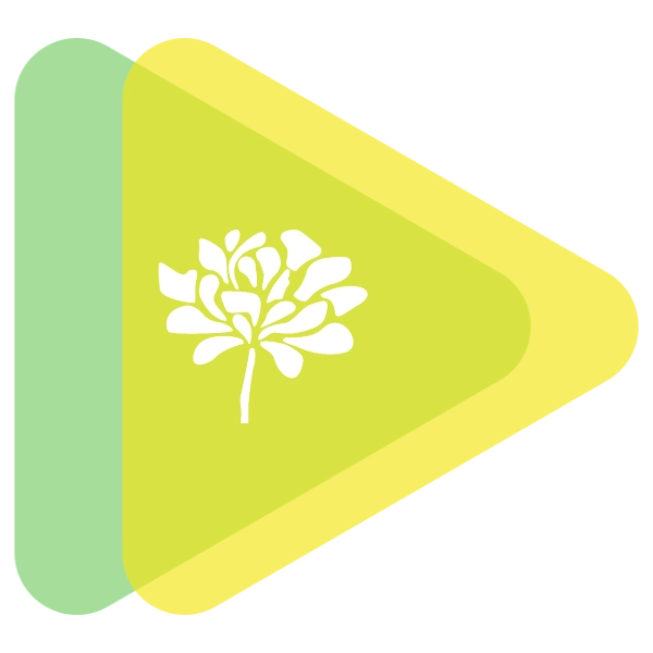 Logotipo Instituto Velasco PLAY